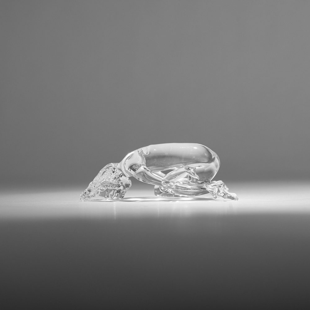 יעל ולוך, child pose. צילומים: תמיר חיון