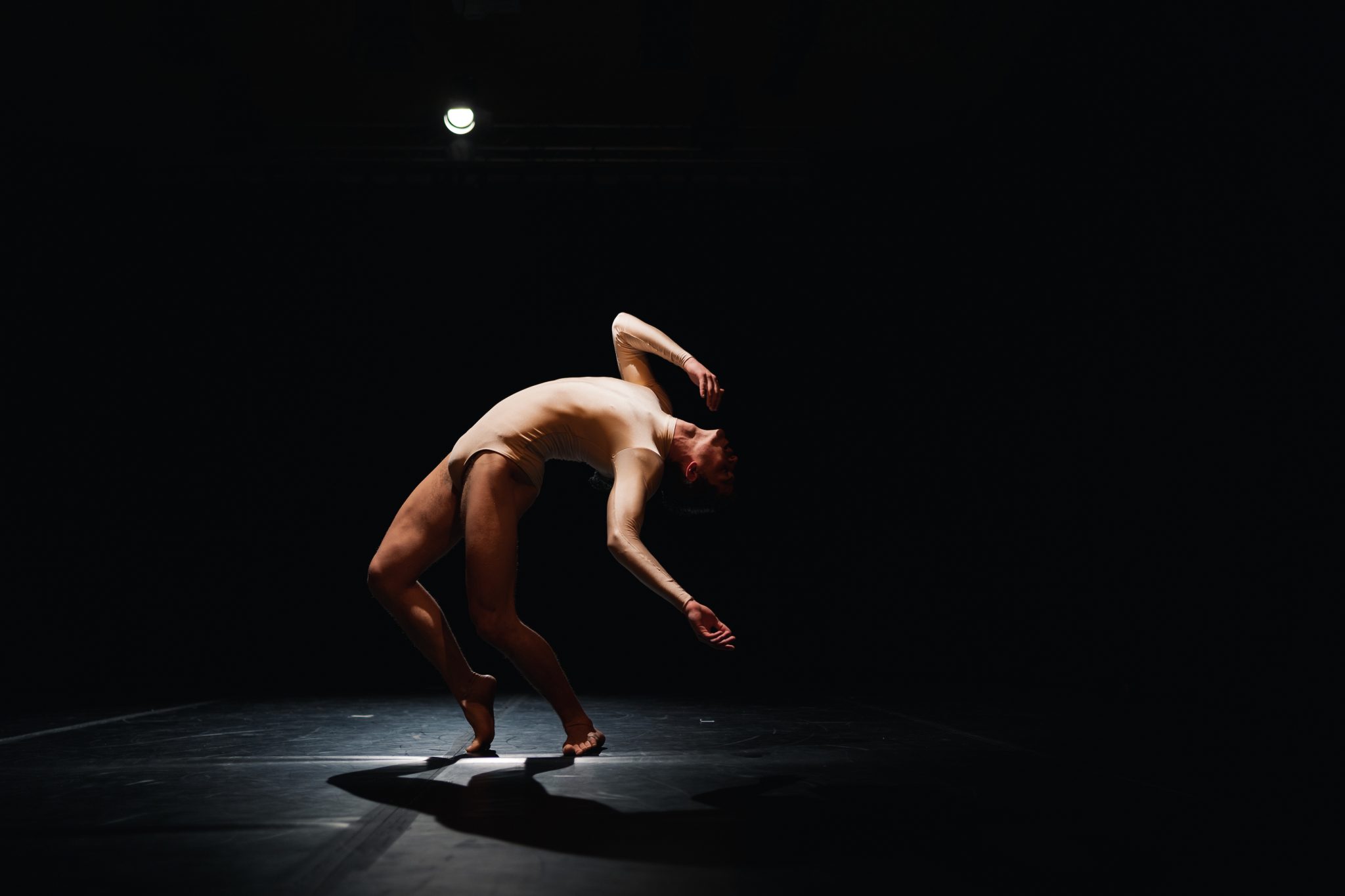 עירד אבני. צילום: שקד כסלו