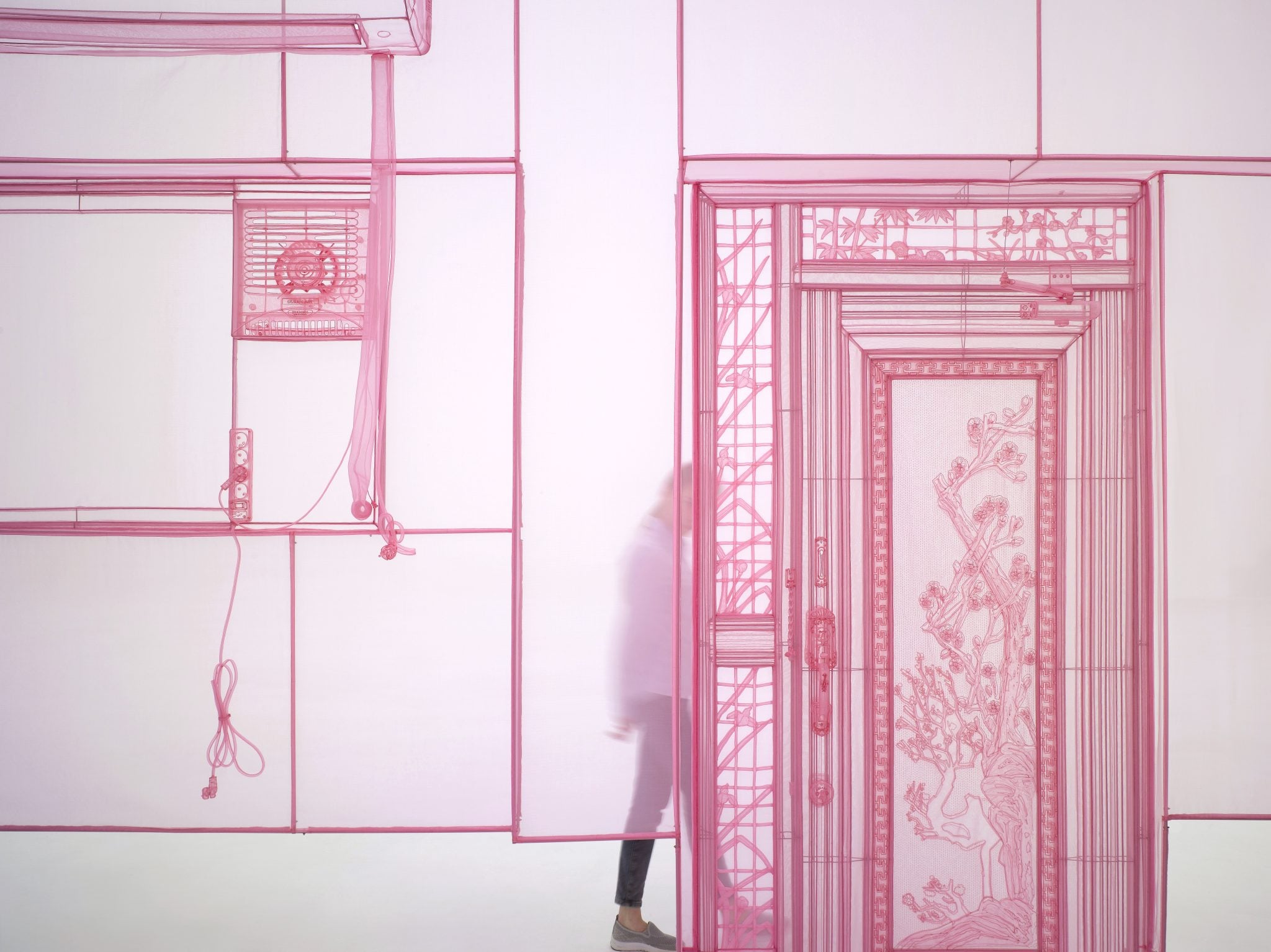 צילומים: ג'ון טאג סו