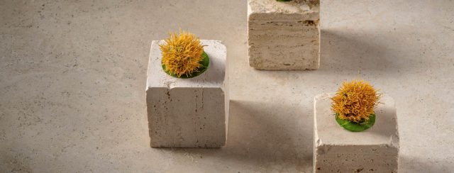 The Chefs Table. צילומים: אסף קרלה