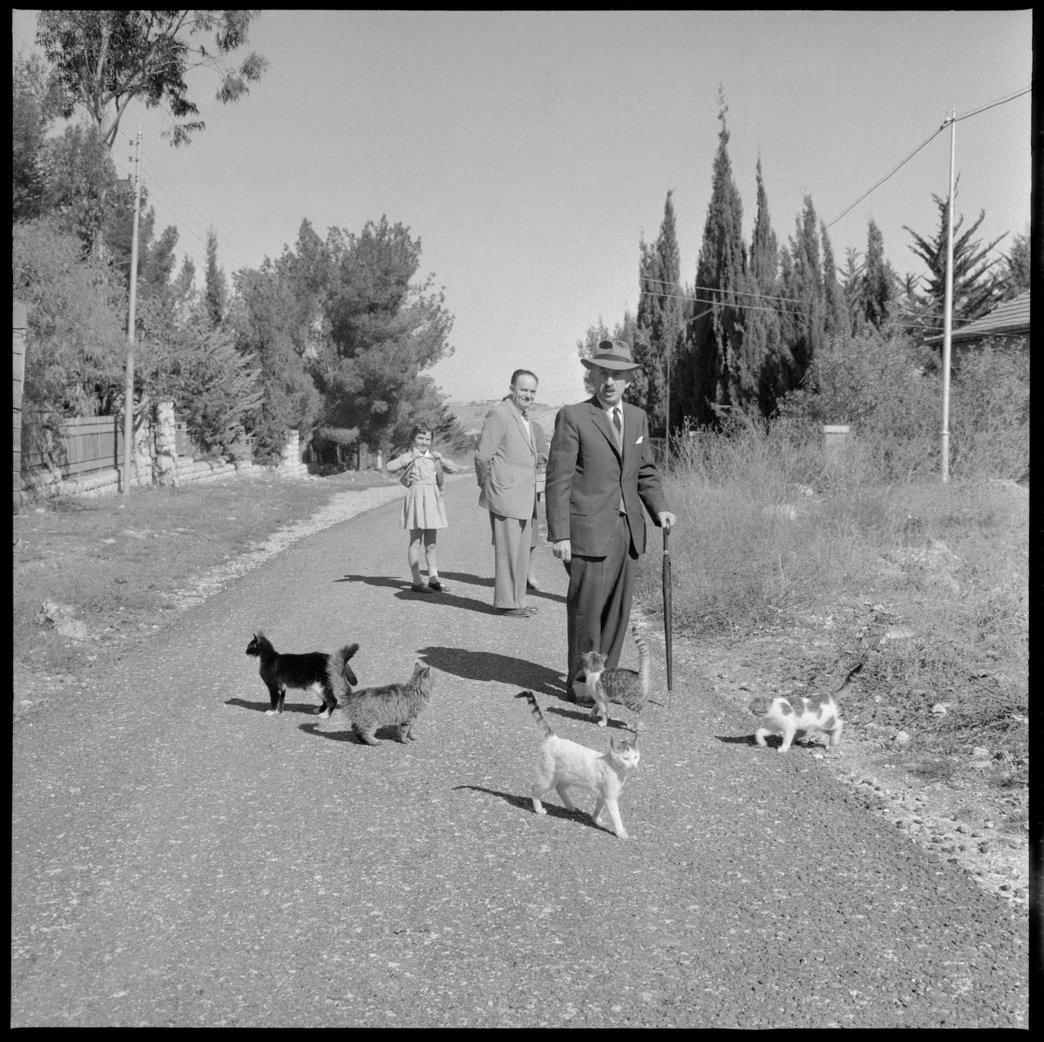 מר קליין, ירושלים, 1960