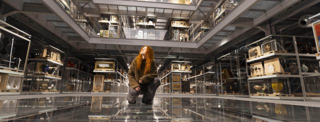 מוזיאון V&A East. צילום: דיוויד פרי/PA Media Assignments