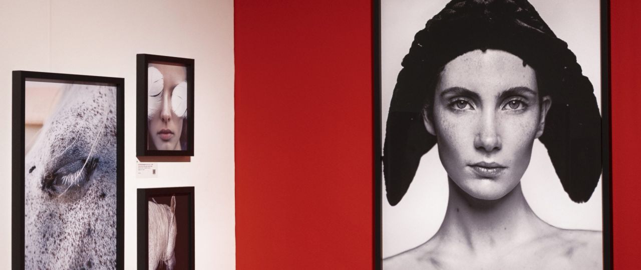 עומרי רוזנגרט. צילומים: מ״ל