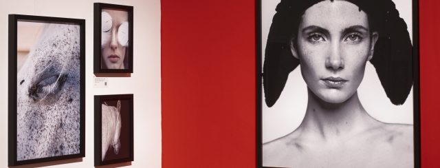 עומרי רוזנגרט. צילומים: מ״ל