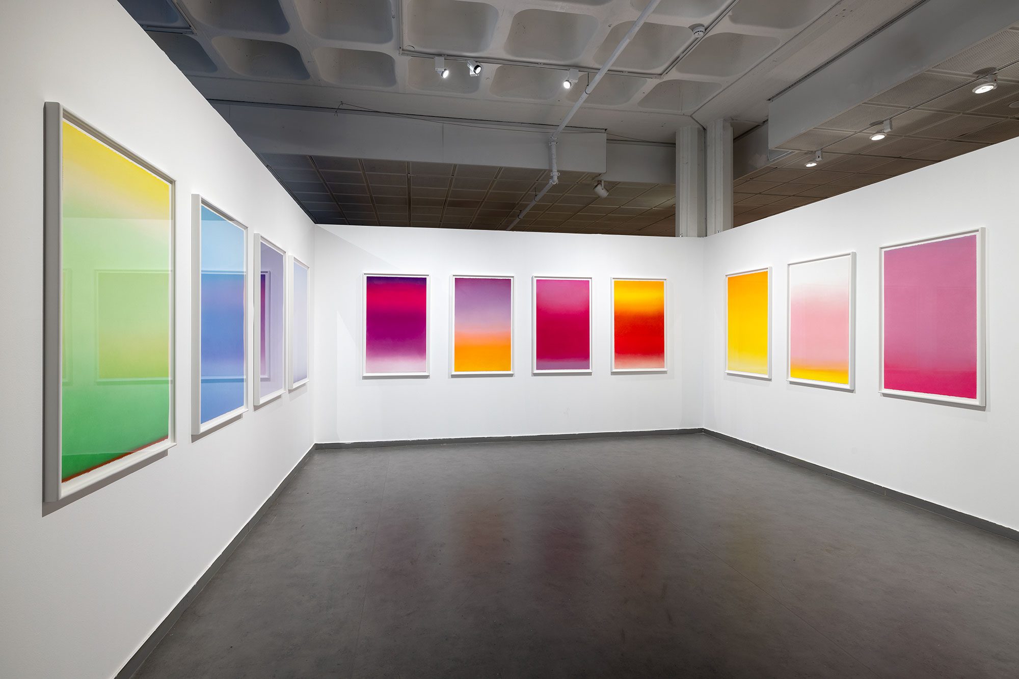 קארן דולב. צילום: אלעד שריג