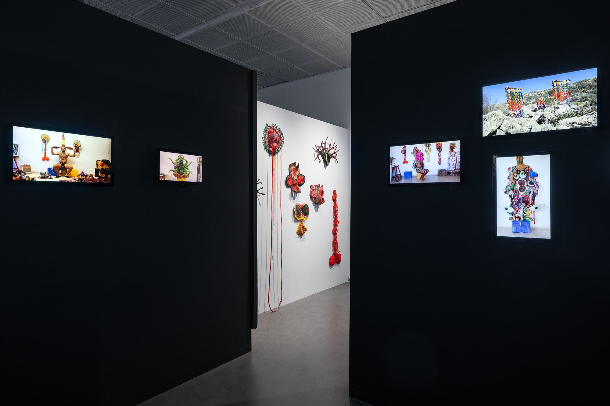 גילי אבישר. צילומים: אלעד שריג