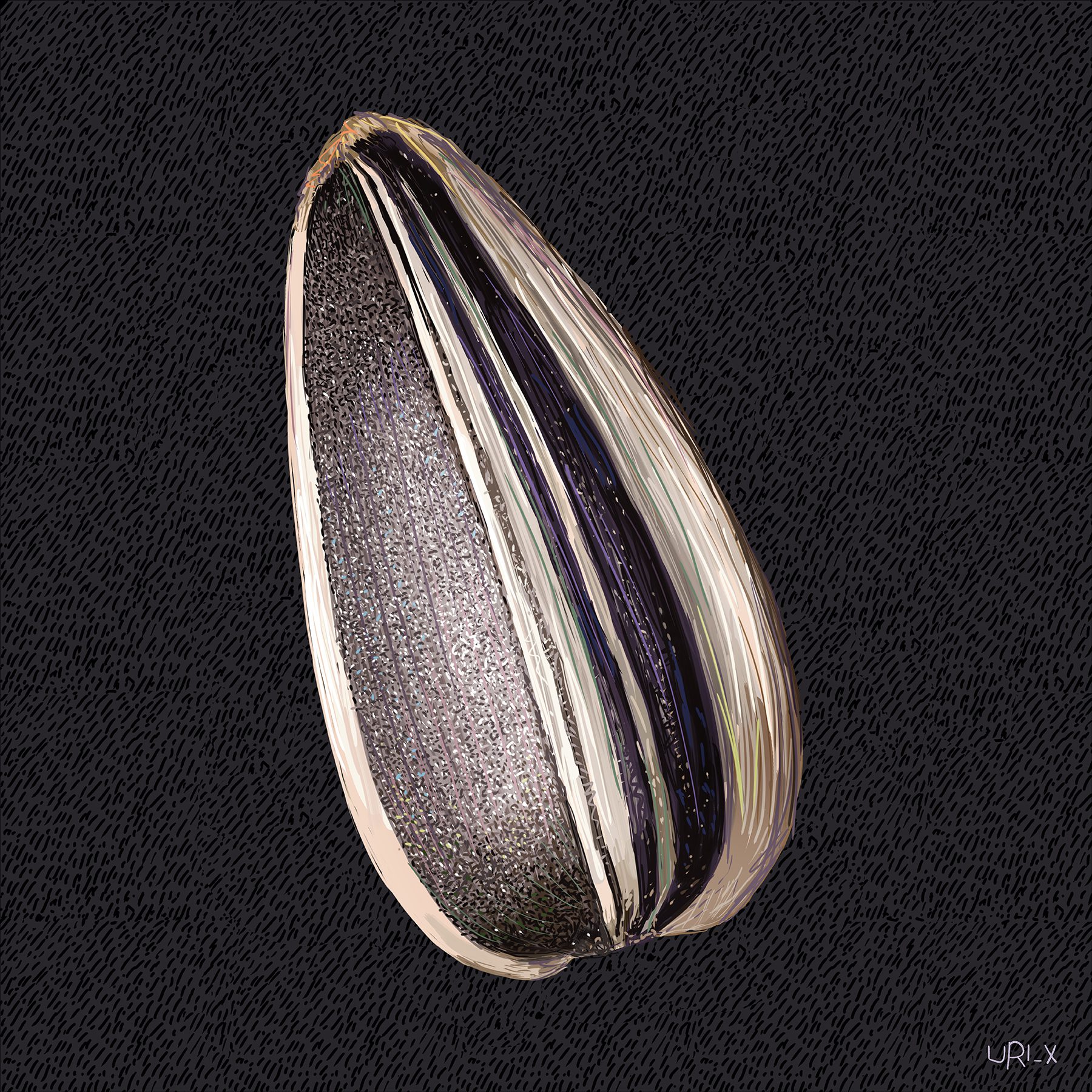 אורי אינקס, גרעין לבן גרעין שחור