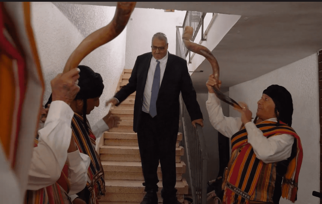 דקל סרי בנווה שכטר. צילומים: מ"ל