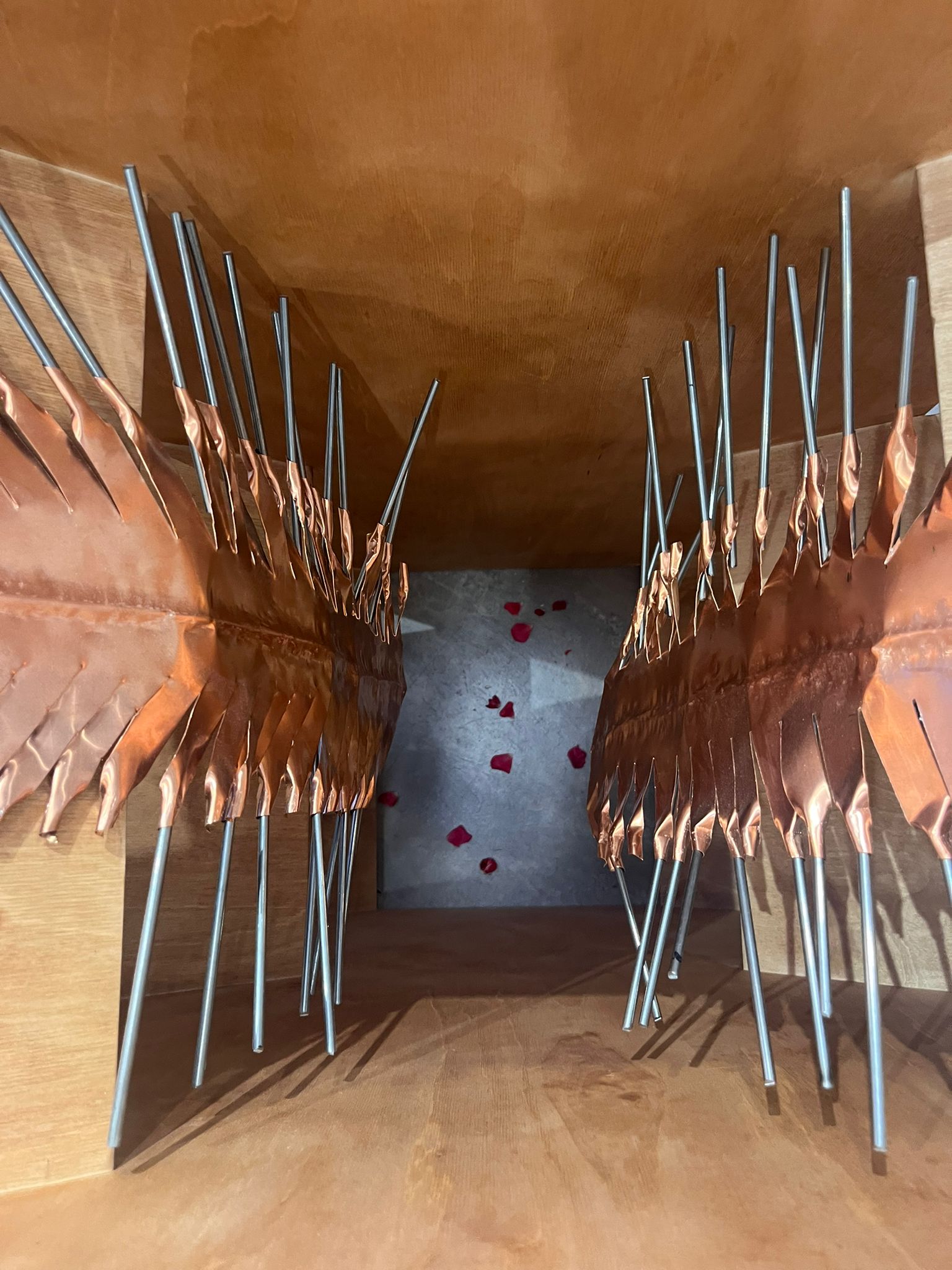 דנה חרס ולילך ירון. צילומים: ניקול רוזנבאום