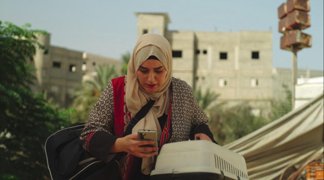 דקל בעזה. צילומים: עמית חכמוב