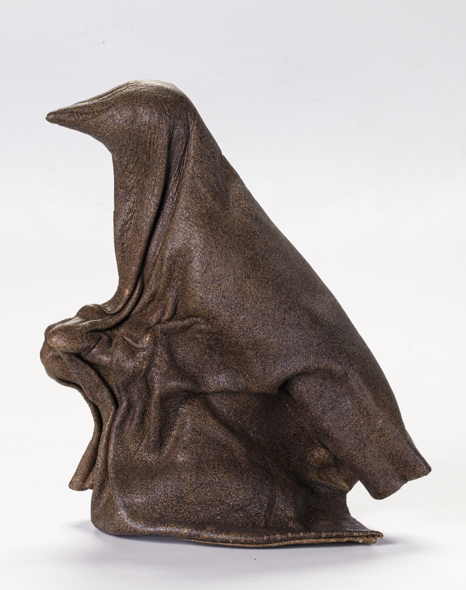 ציפור דורותיאום