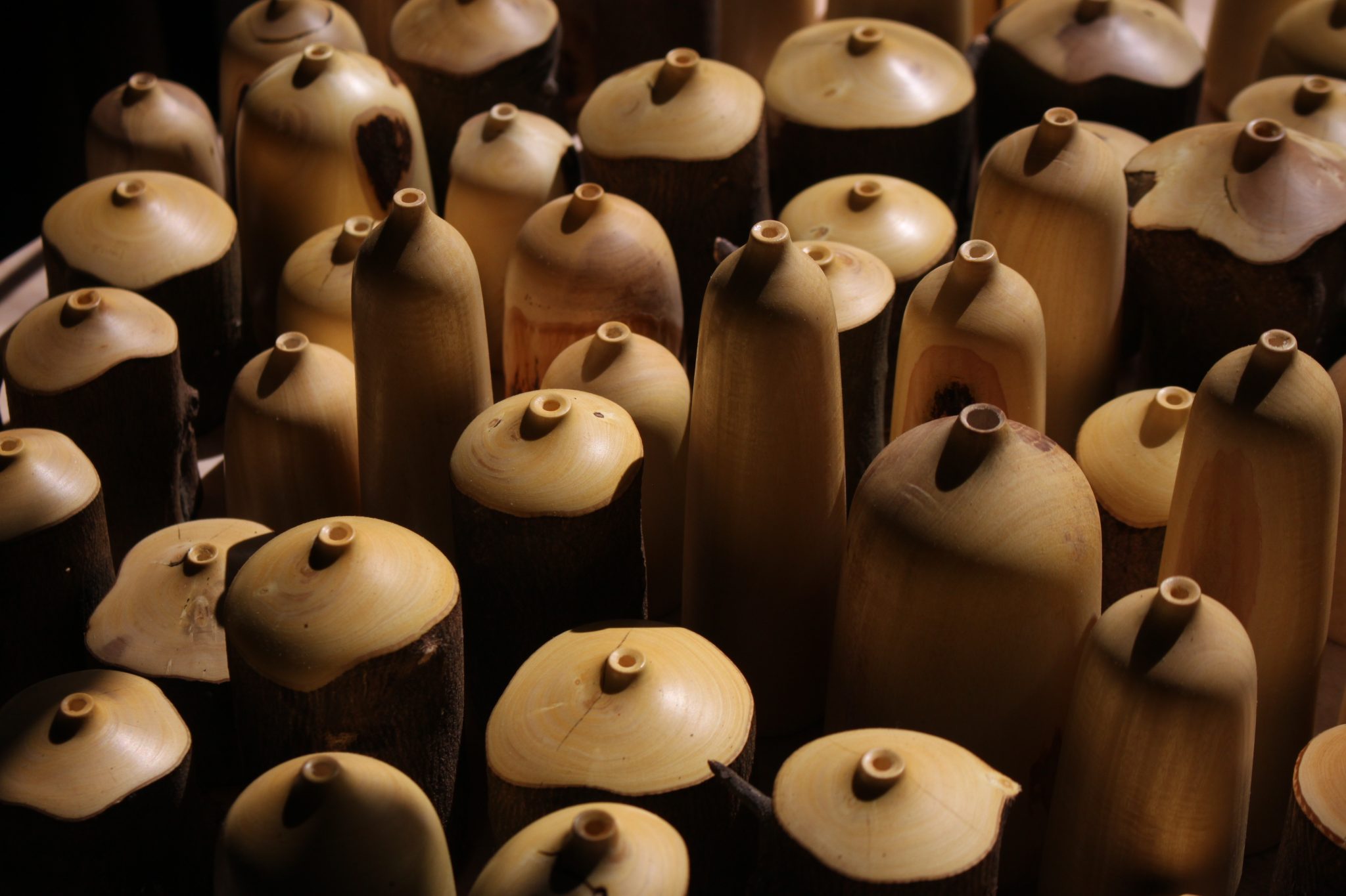 יובל בוכשטב. צילום: מ"ל