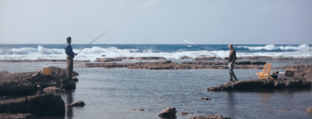 משאלה וחצי. צילום: אסף סודרי