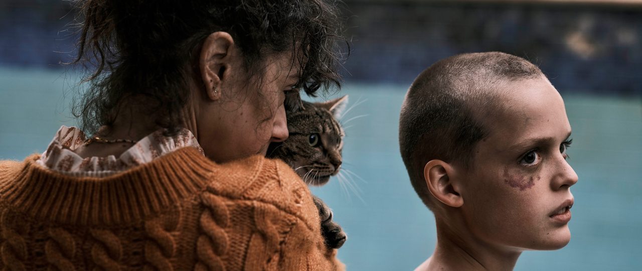 להחזיר אותה. צילומים: פורום פילם