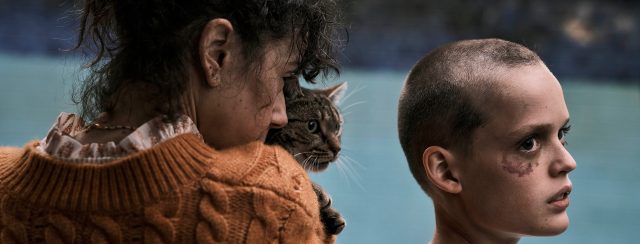 להחזיר אותה. צילומים: פורום פילם