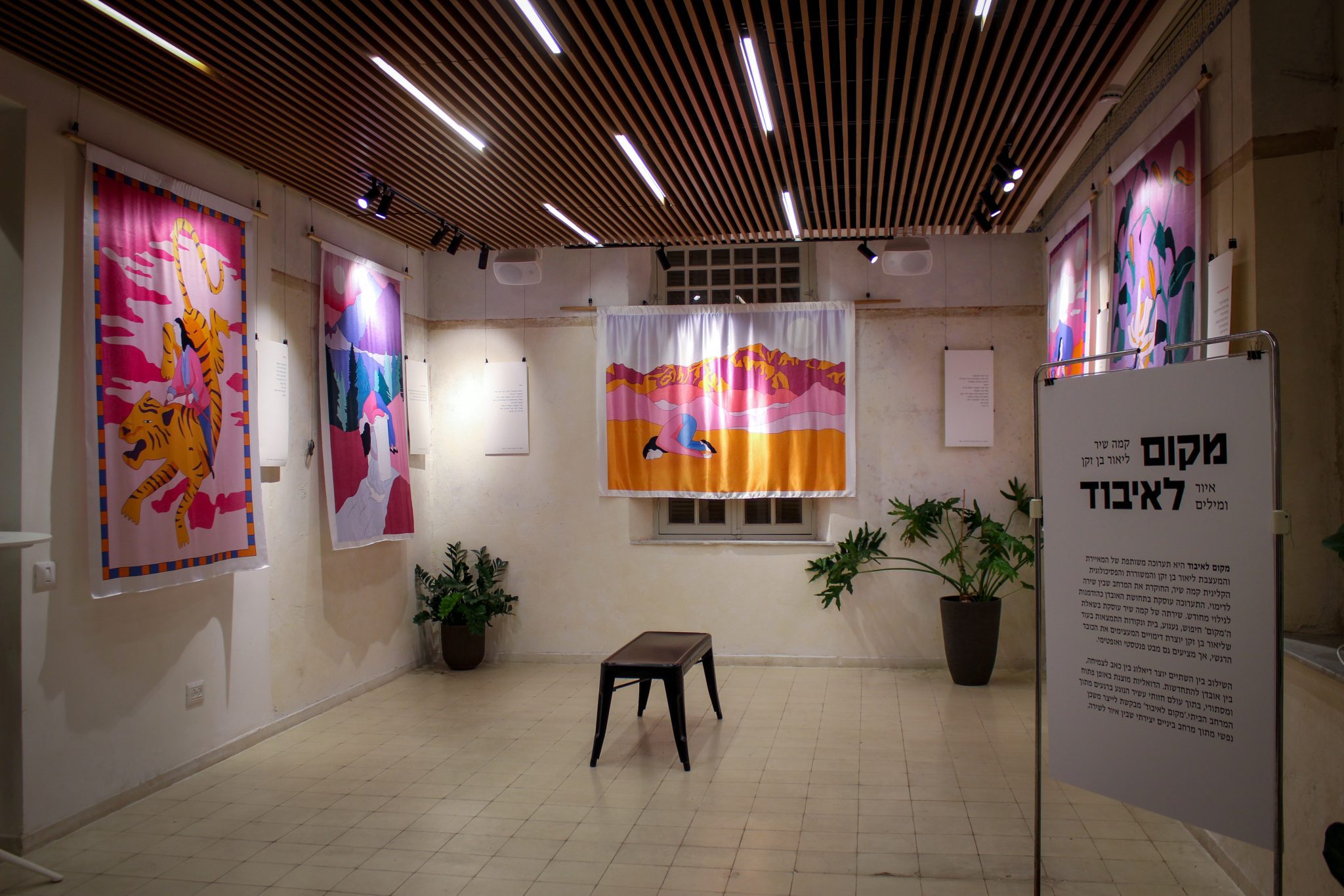 צילומים: מ״ל