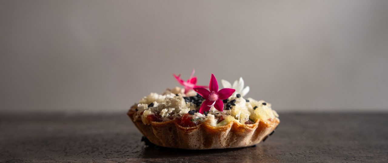 פיקואל. צילום: דוד מויאל