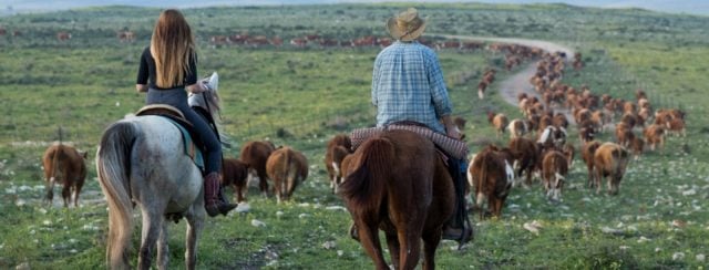זיו ברק במוזיאון וילפריד ישראל