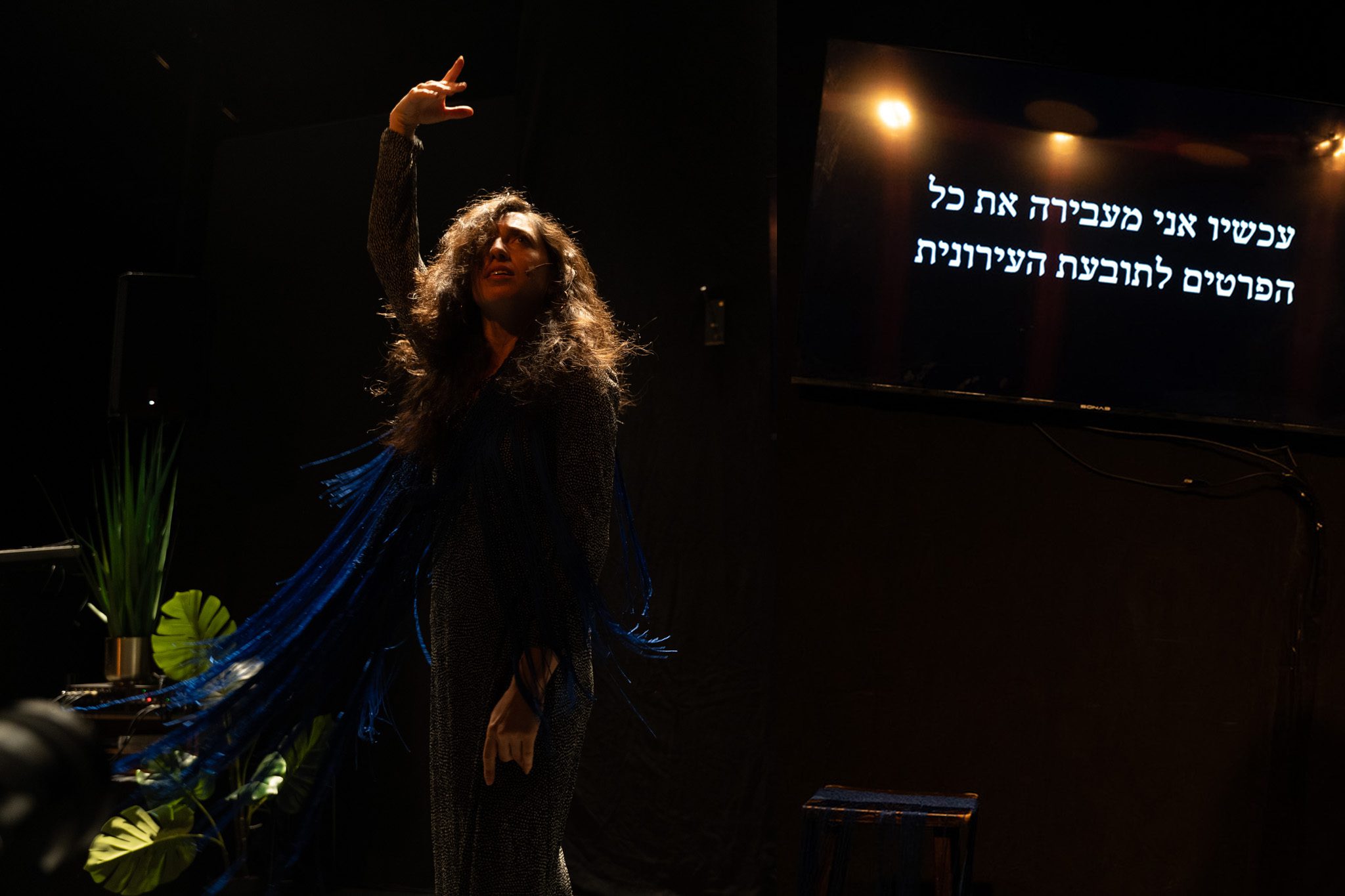 האוגרת. צילום: דן בן ארי