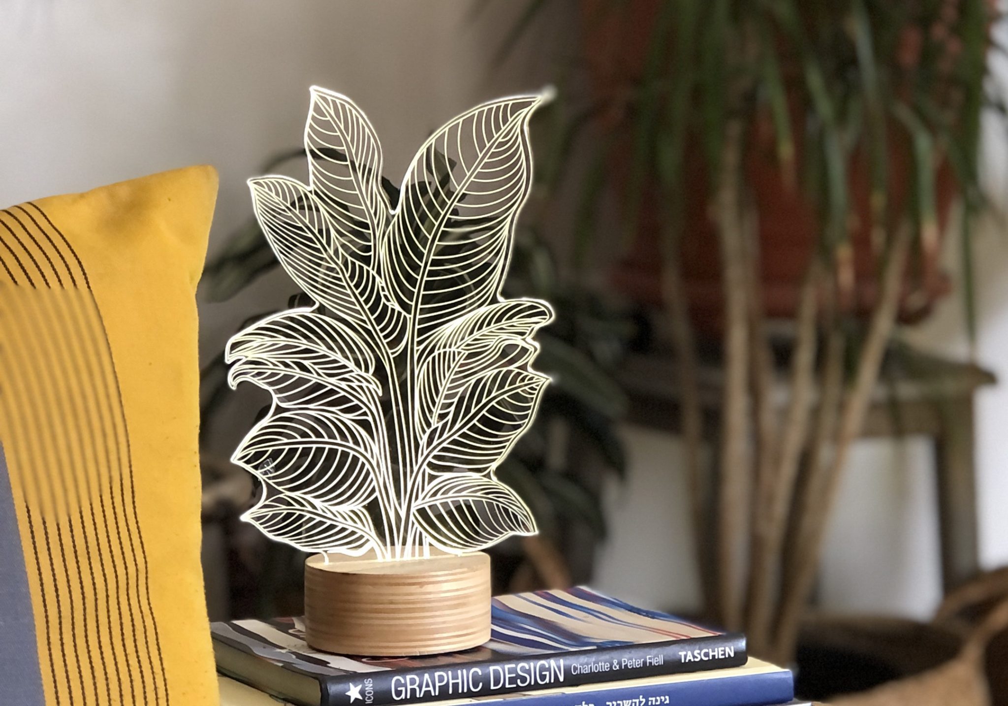 סטודיו צ'חה. צילום: דריה קוגן