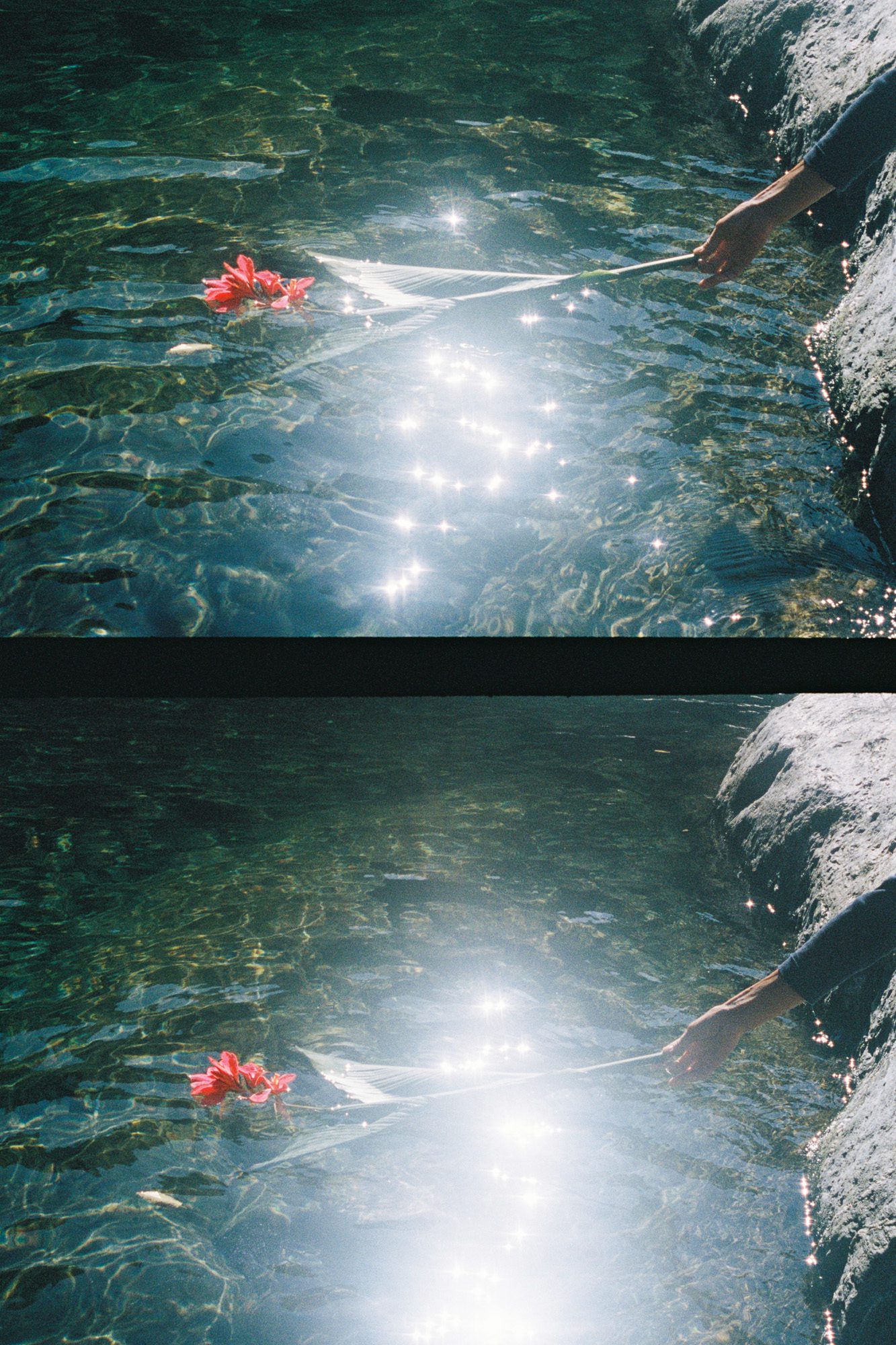 סשה טמרין, השתקפויות