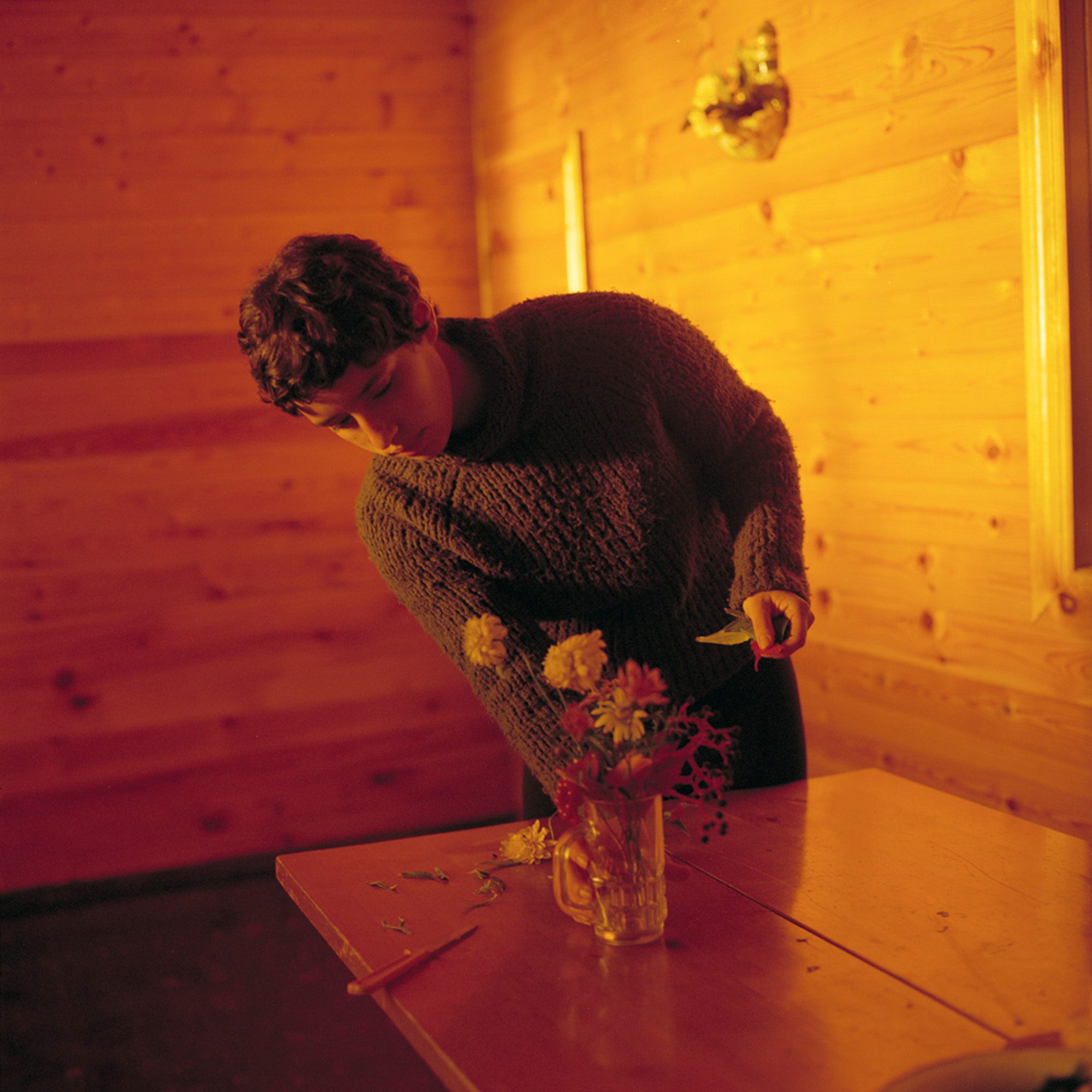 סשה טמרין, ענברי