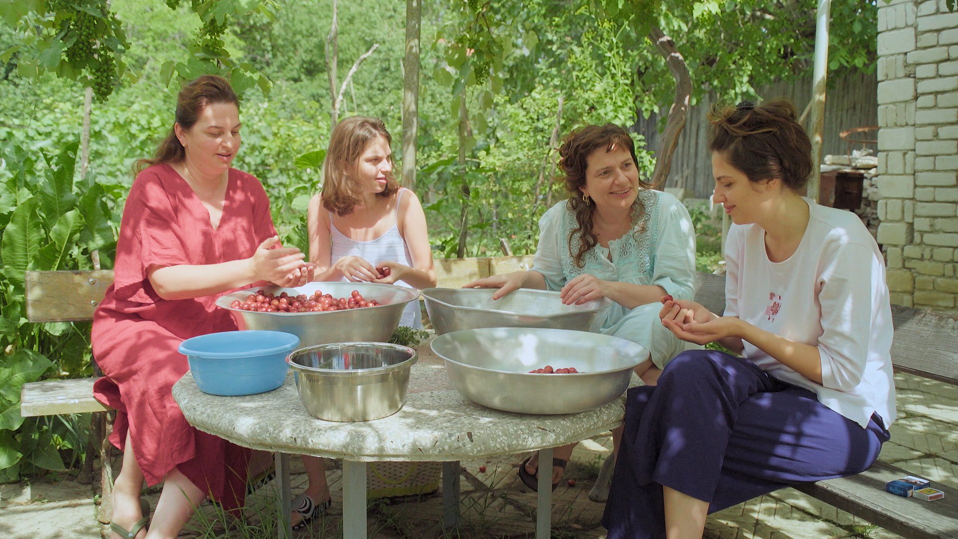 שזיפי בוסר. צילום: אמילי שיר סגל