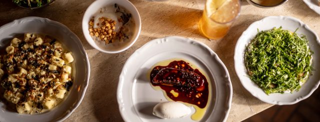 בנדיט. צילומים: אסף קרלה