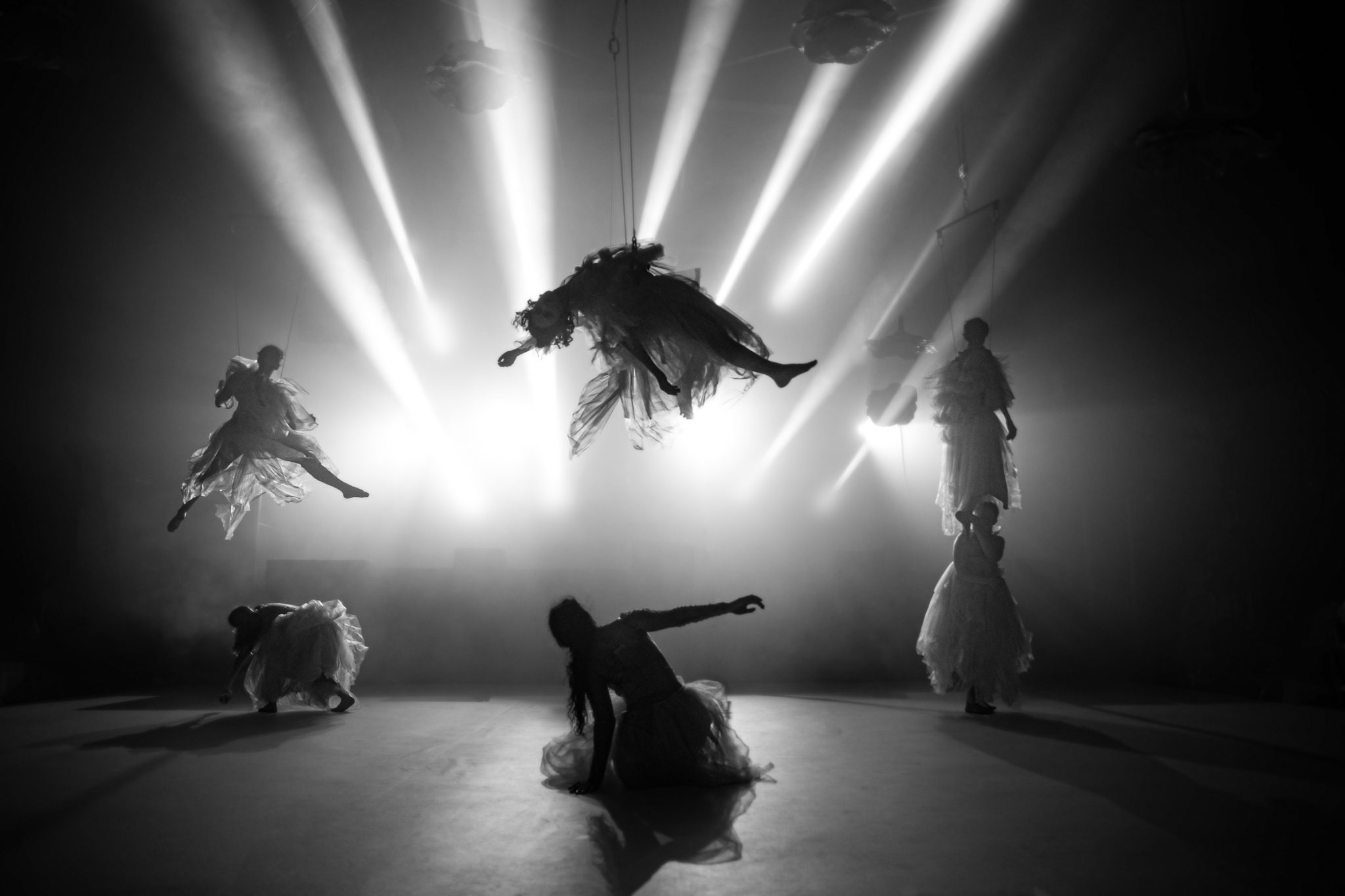 dance in peace. צילומים: נועה סלטי