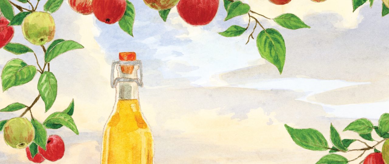 סיידר תפוחים מתוך לוח ״שנה בגינה״. איורים: אילנה שטיין