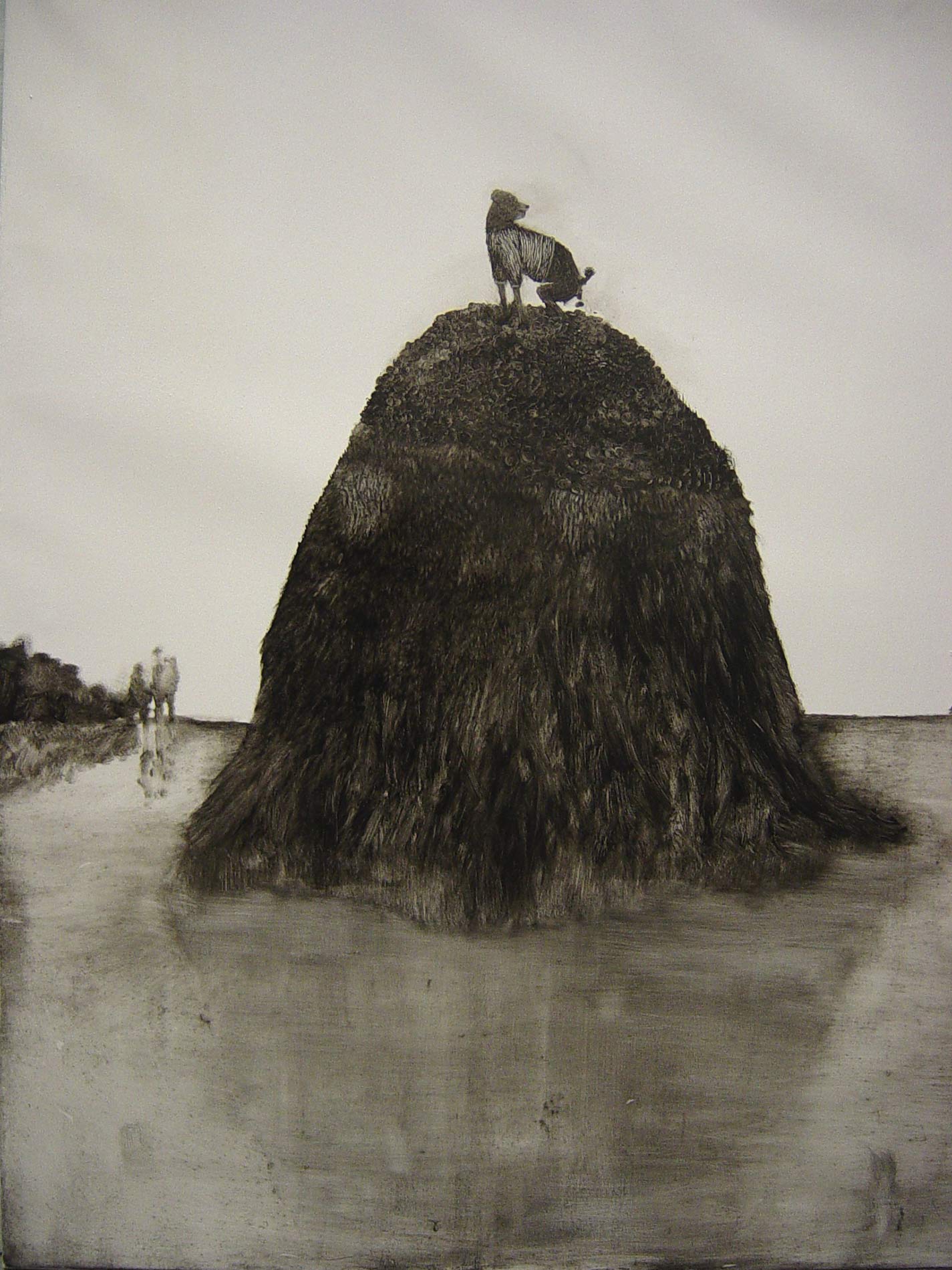 הכלב על הגבעה. צילום: פיש איי