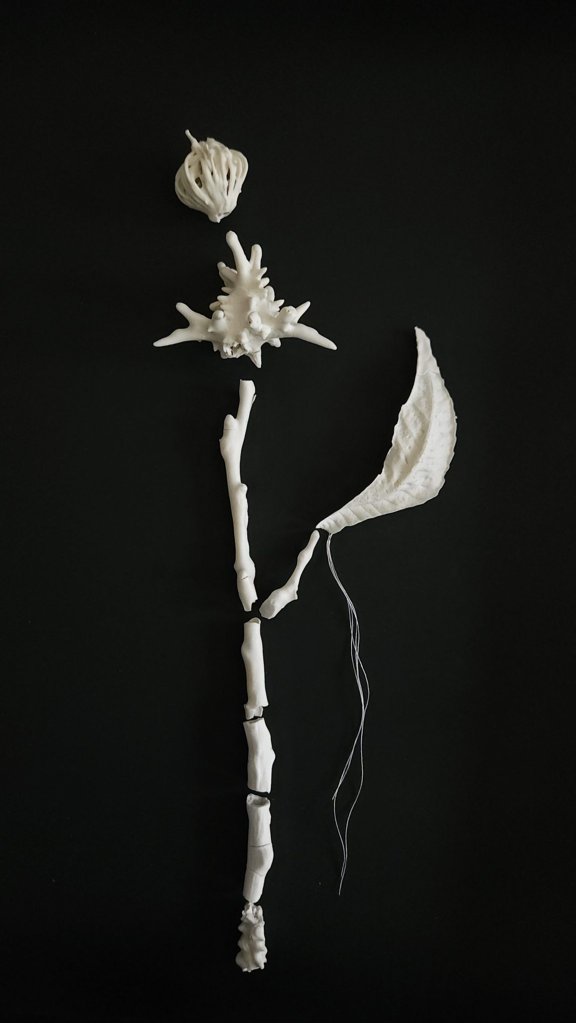 רויטל חכים סטריכמן