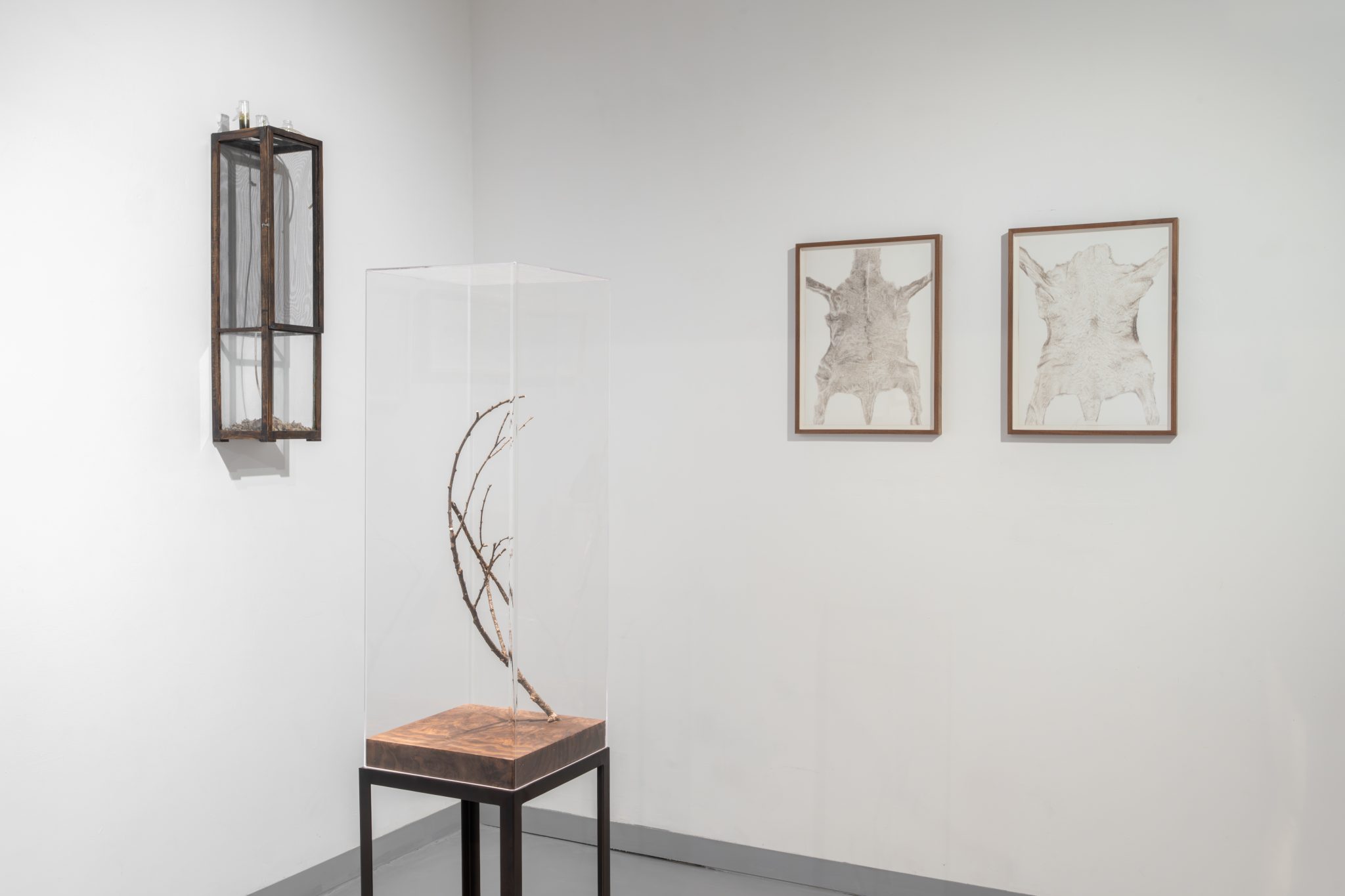 צילומי הצבה: דניאל חנוך