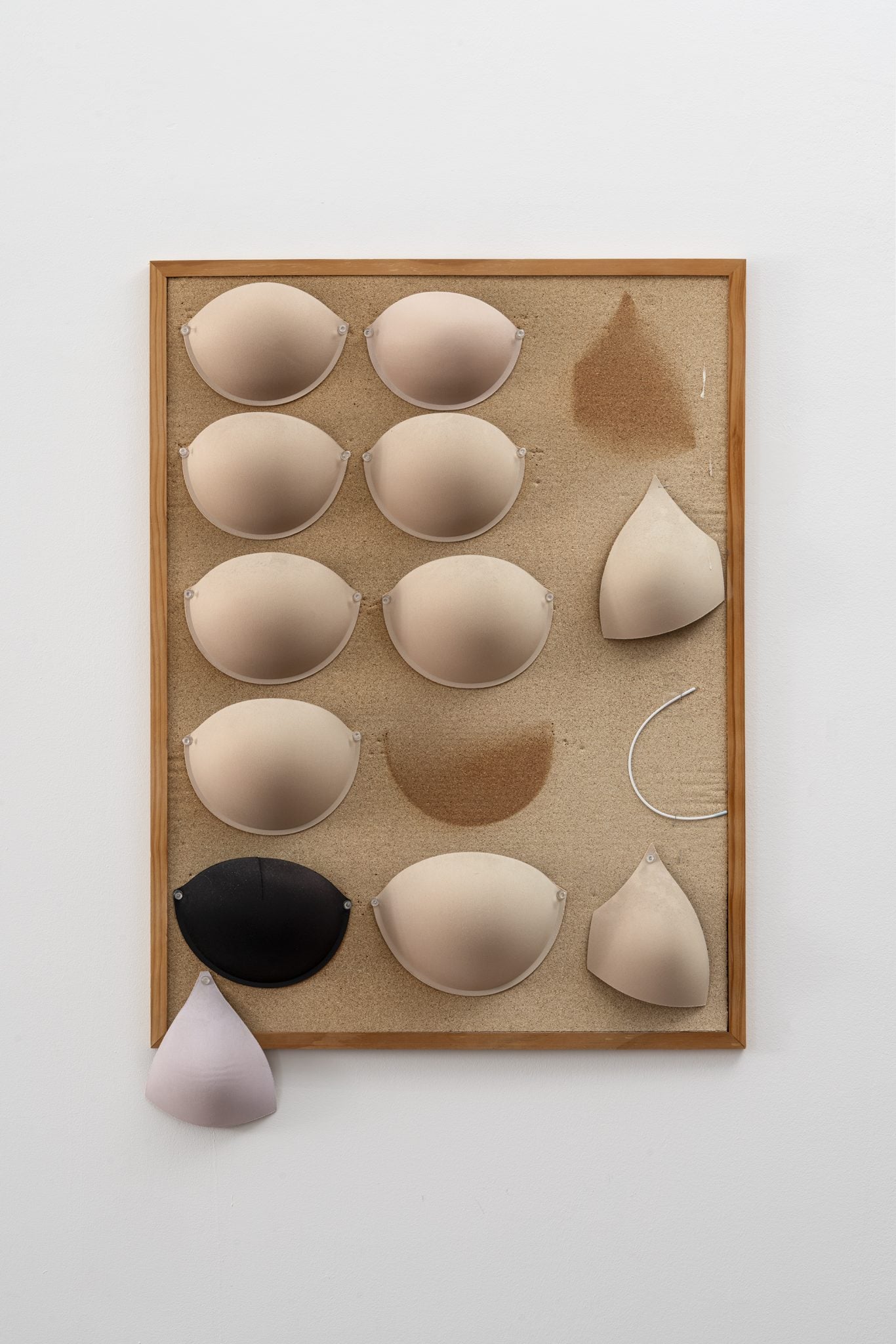 נועה תגלה לך את כל האמת…