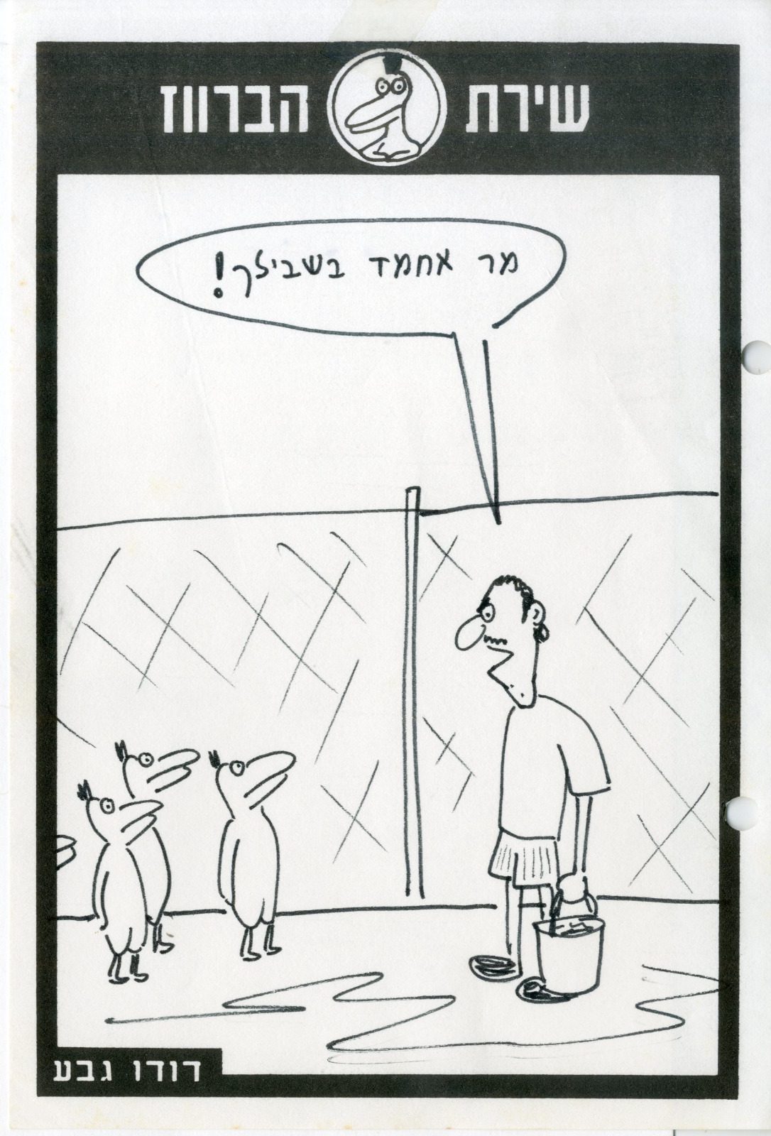 דודו גבע