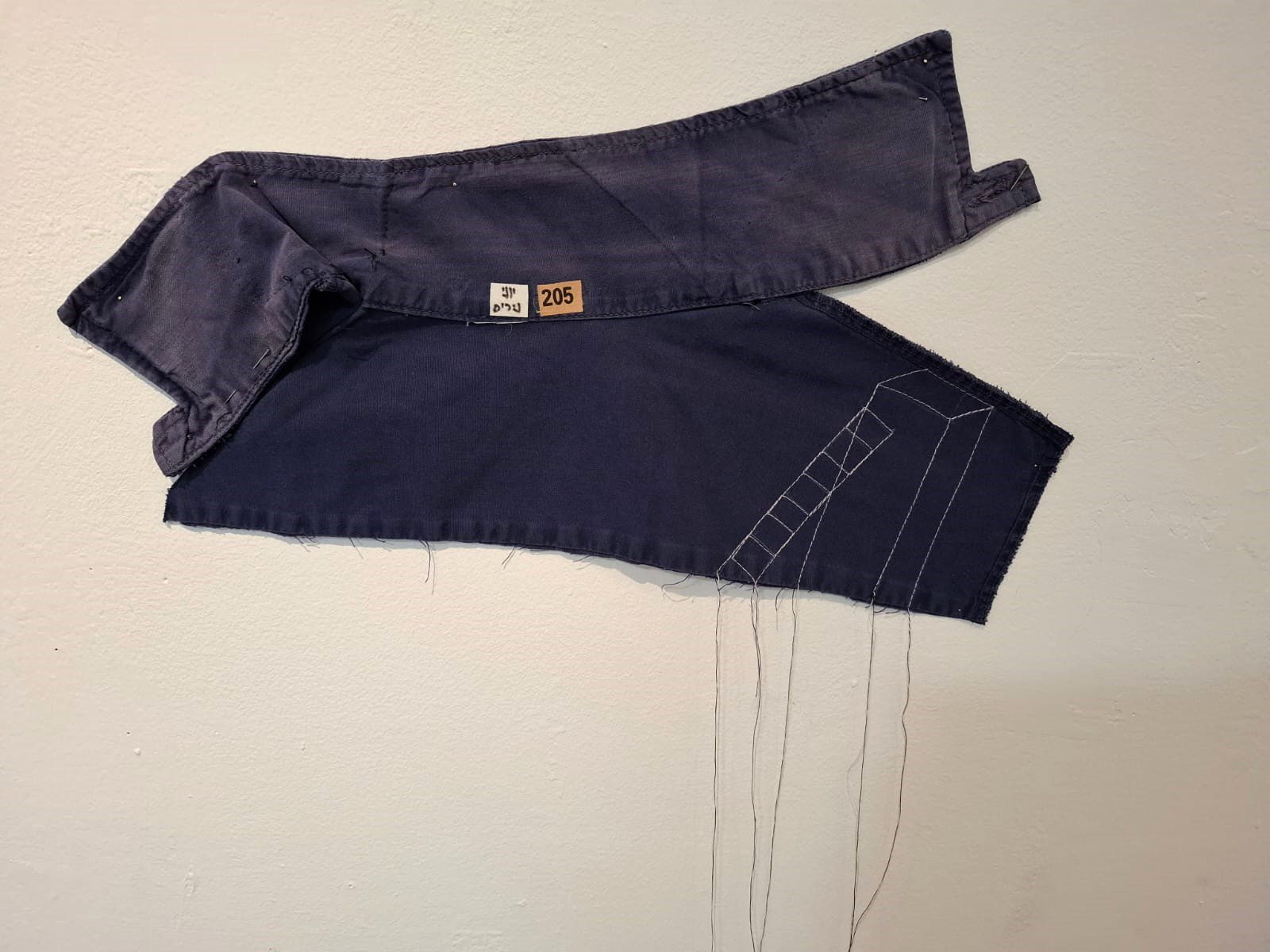 צילום: גדעון פלס