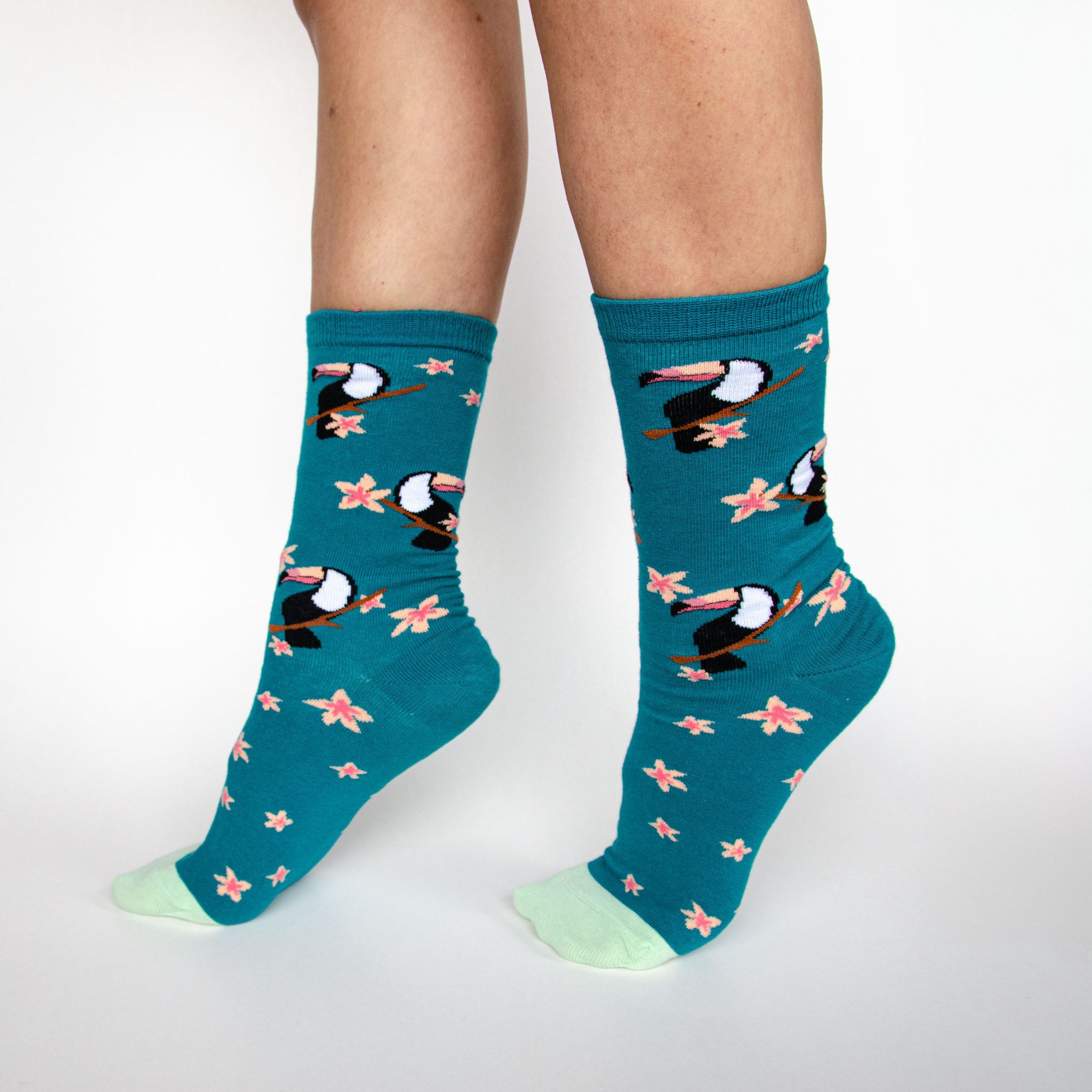 צילומים: אליהו אושרי