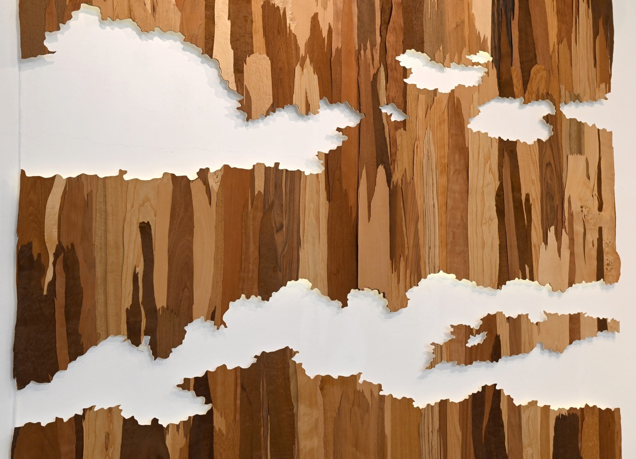 צילומים: רענן טל