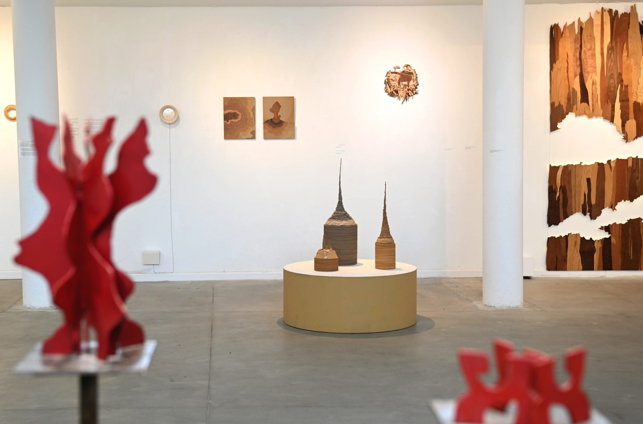 צילומים: רענן טל