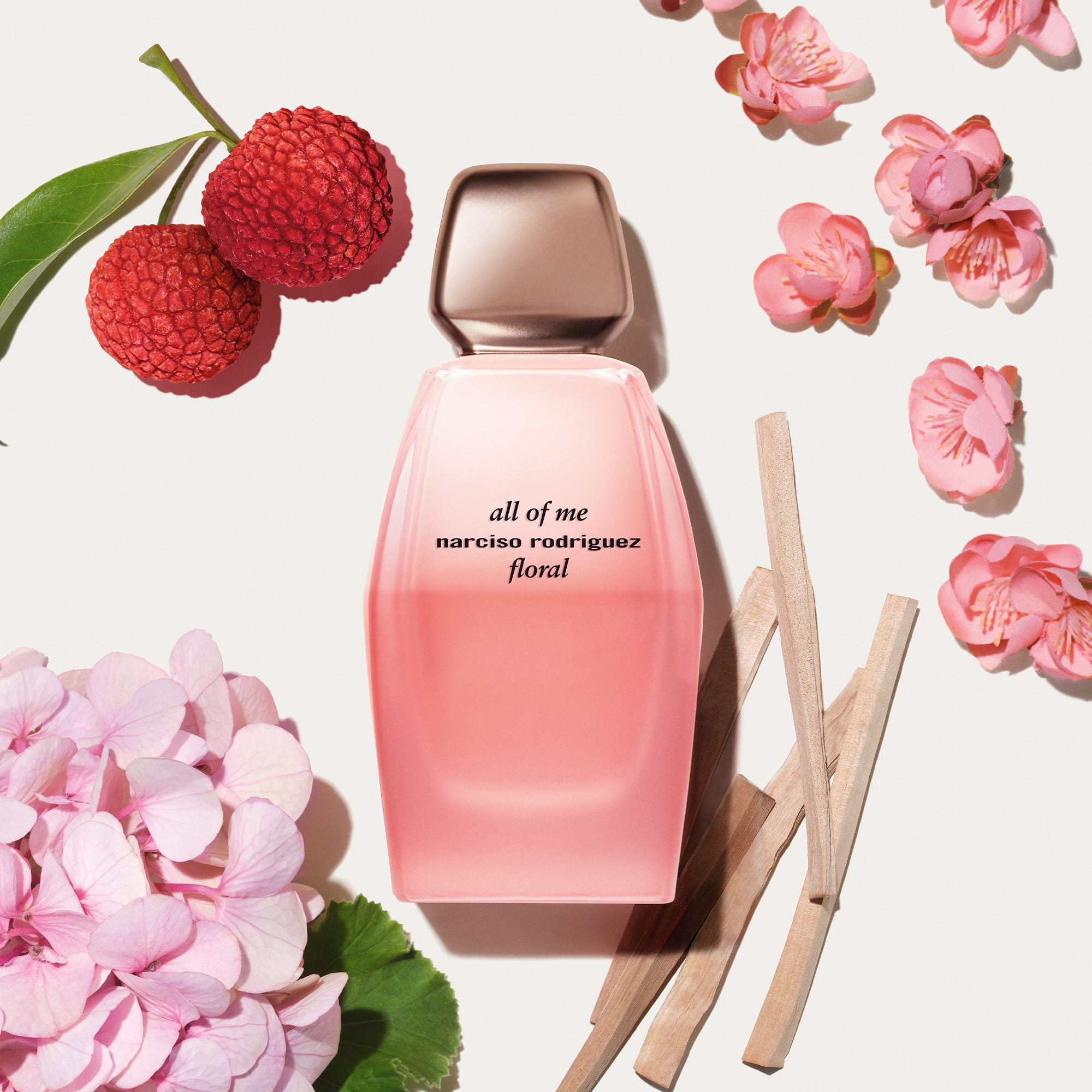 Narciso Rodriguez. צילום: מ"ל