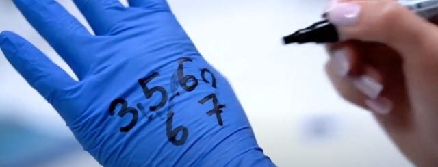 Ascribe - גבי ווגל, גומא רינת אולייניק, דנה סולומון, מירי קברין, קתרין שלף