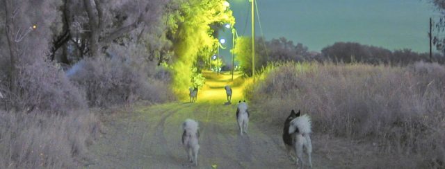 בר ברזילי, המחלקה לצילום, בצלאל
