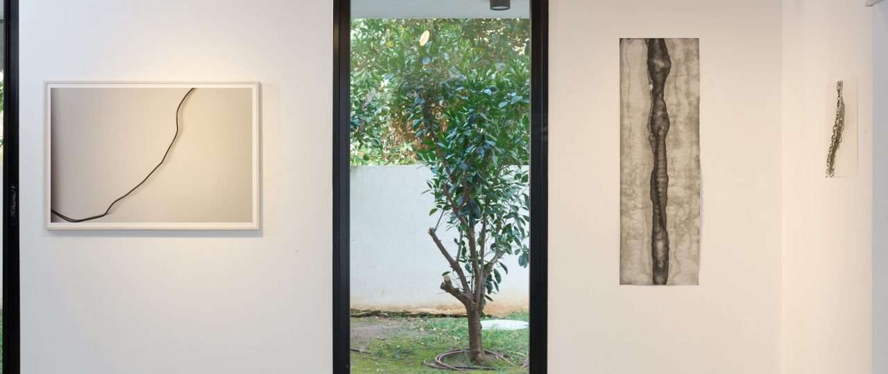 ורוניק ענבר, בהתהוות. צילום: יובל חי