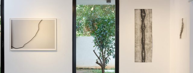 ורוניק ענבר, בהתהוות. צילום: יובל חי
