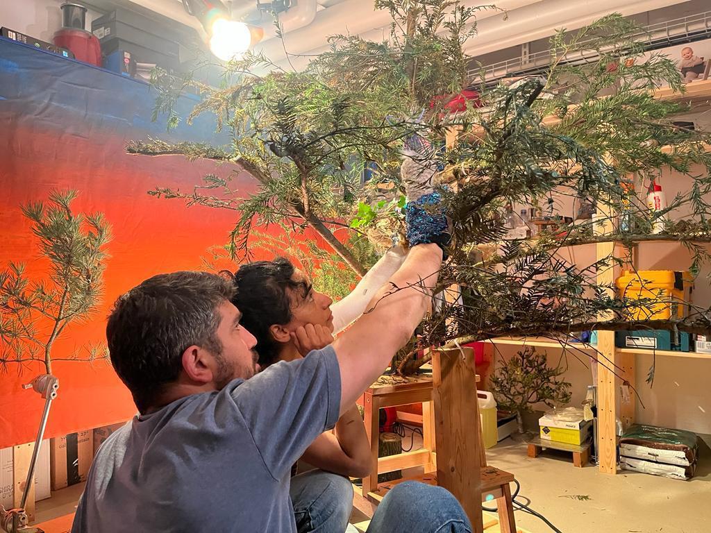 מתוך צילומי הציפור שרצתה. צילום: אלעד אדלמן