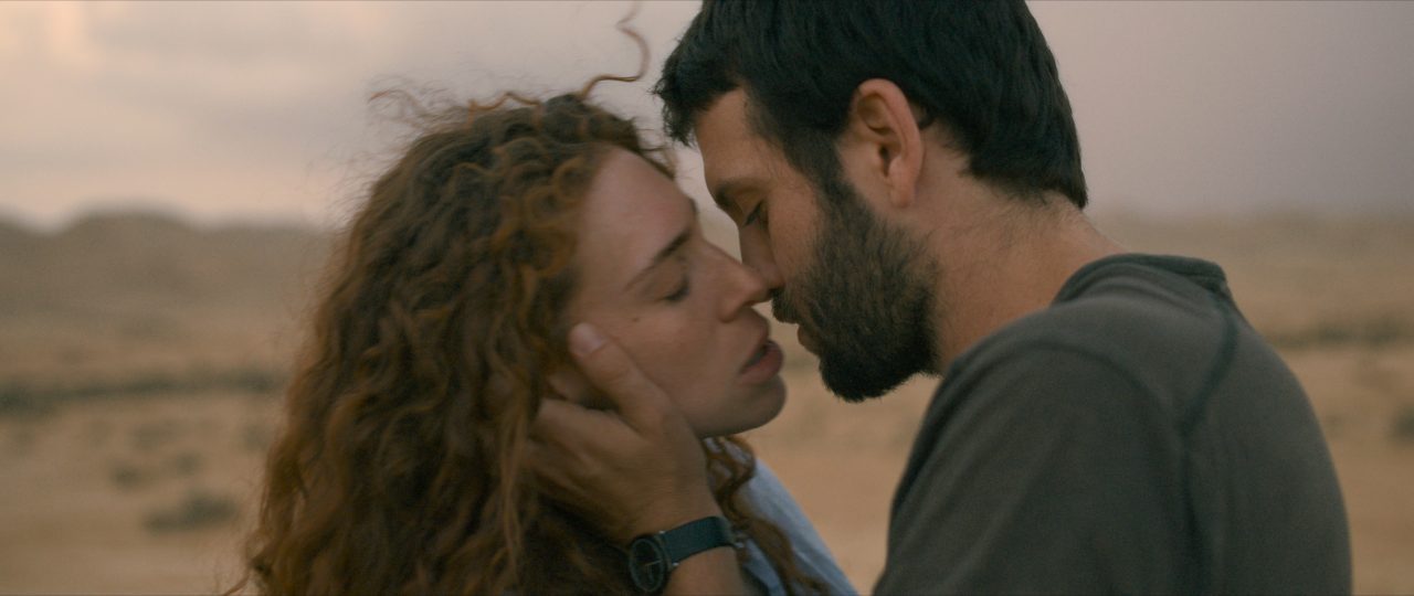 פיל במדבר. צילומים: עודד אשכנזי