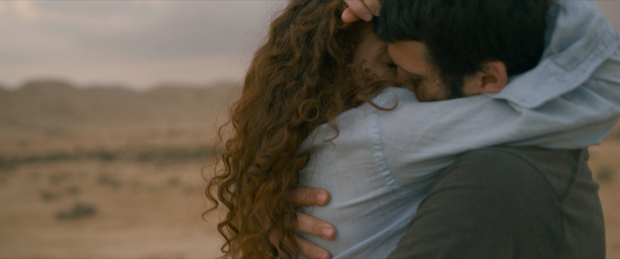 פיל במדבר. צילומים: עודד אשכנזי