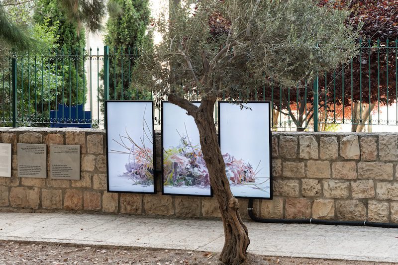 צילומי חוץ: זוהר שמש