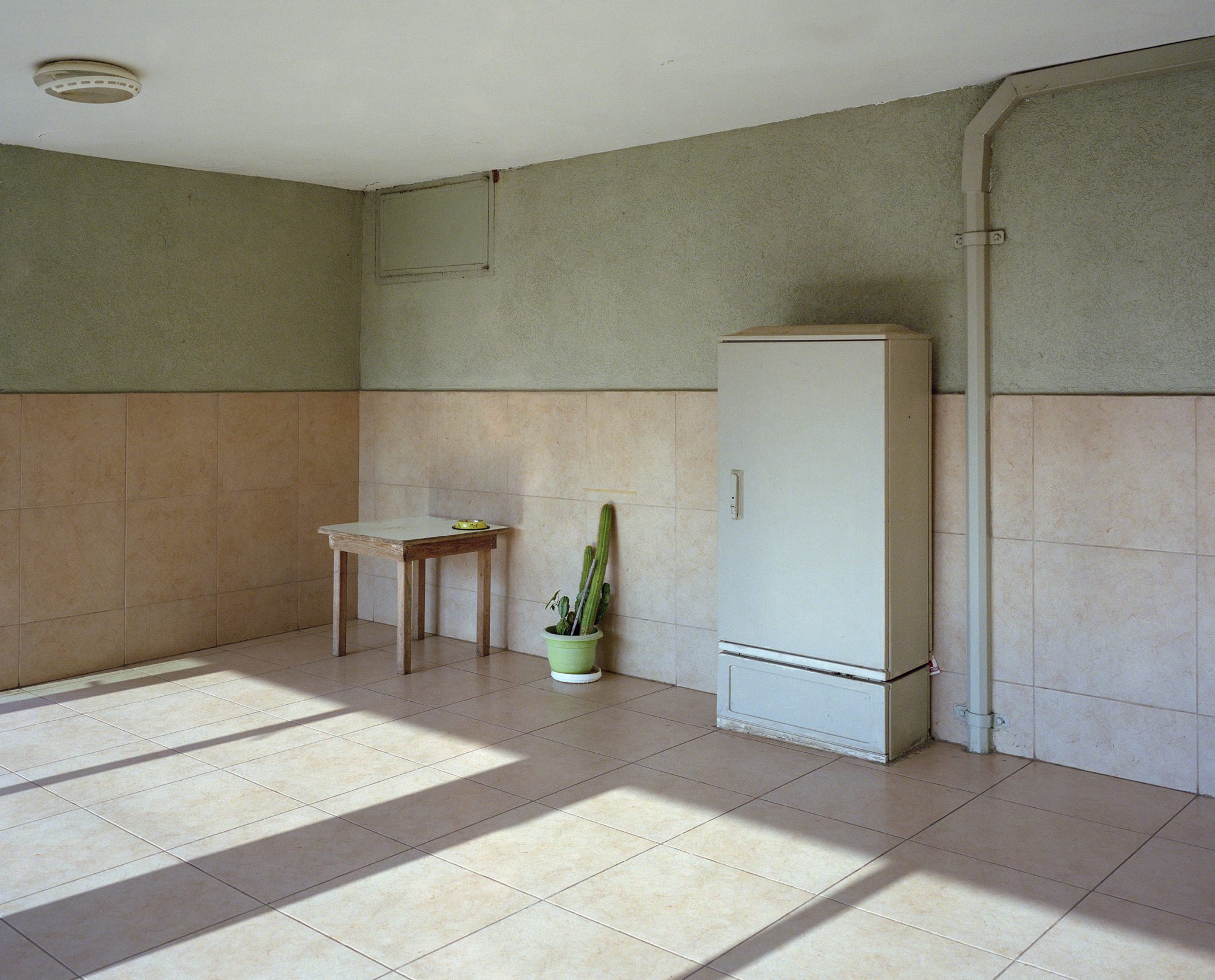 צילומים: דפנה אמירה