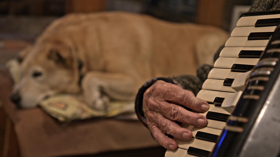 לינה צ׳פלין, שמוניסטים. צילומים: איציק פורטל